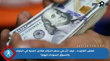خفض الفائدة.. كيف أثر على سعر الدولار مقابل الجنيه في البنوك والسوق السوداء اليوم؟